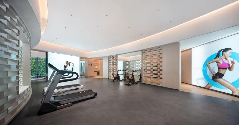 Lion's Mane Supplement: A Nootropic Mushroom for Brain Health