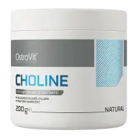 OstroVit Choline 200g Natural